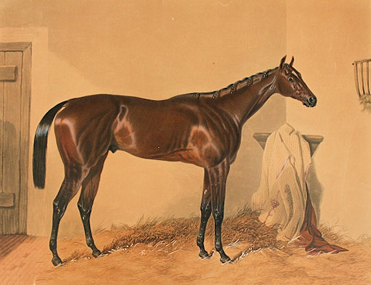 St Leger Winners: St Leger Winner 1848: Surplice